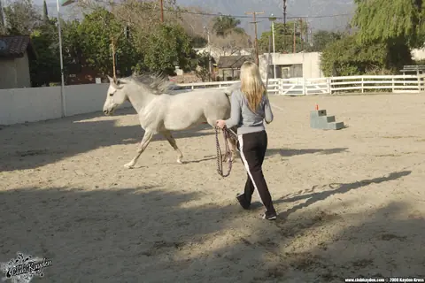 Kayden Kross: Busty Blonde MILF Poses Outdoors at the Ranch – photo 13 of 20