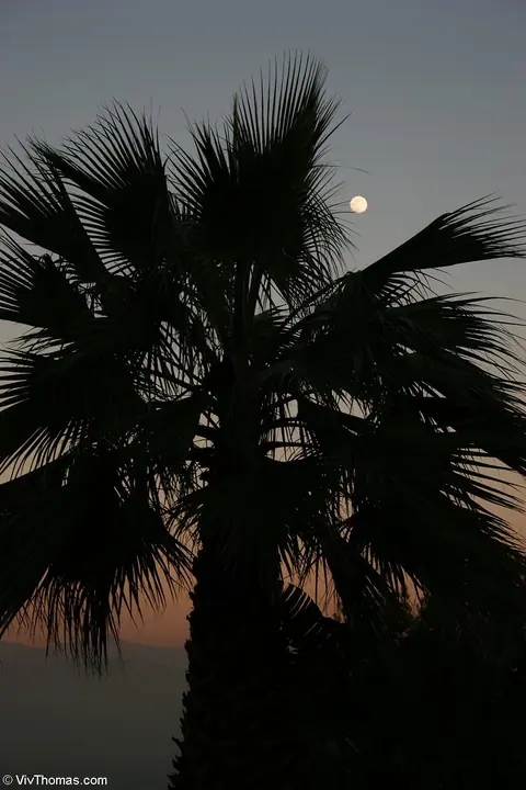 Michelle Lay: Thick Brunette Lesbians Lick and Finger Each Other's Pussies – photo 20 of 20