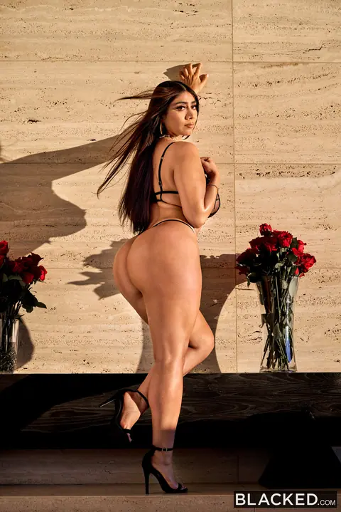 Violet Myers: Curvy Brunette with Big Natural Tits Takes BBC in Lingerie – photo 10 of 20