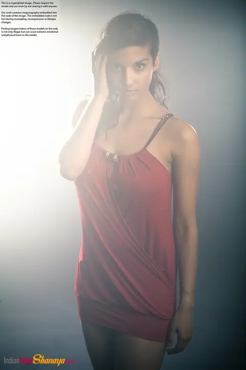 Indian Beauty Strips Out of Her Dress to Show Her Big Tits – photo 1 of 16