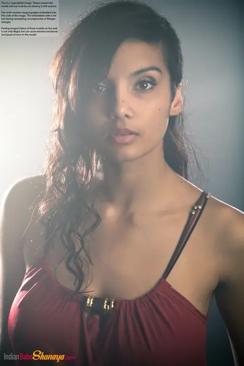 Indian Beauty Strips Out of Her Dress to Show Her Big Tits – photo 10 of 16