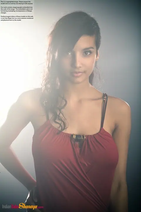 Indian Beauty Strips Out of Her Dress to Show Her Big Tits – photo 5 of 16