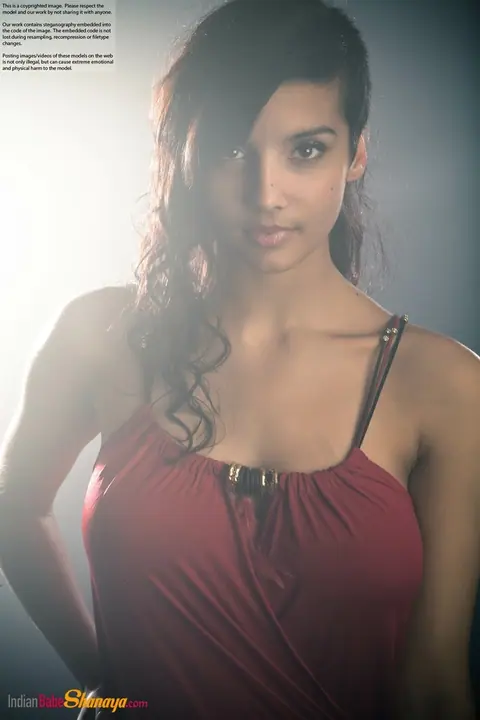 Indian Beauty Strips Out of Her Dress to Show Her Big Tits – photo 6 of 16