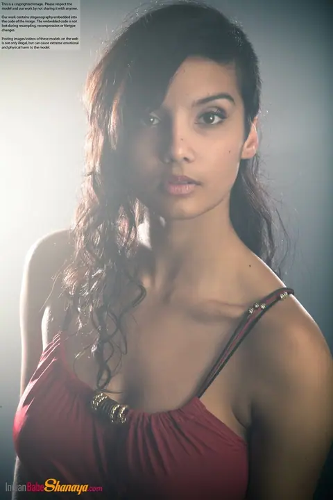 Indian Beauty Strips Out of Her Dress to Show Her Big Tits – photo 8 of 16