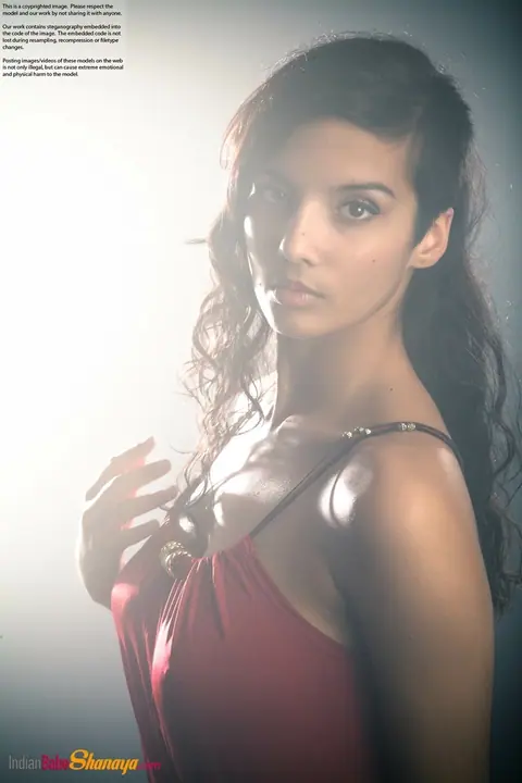 Indian Beauty Strips Out of Her Dress to Show Her Big Tits – photo 9 of 16