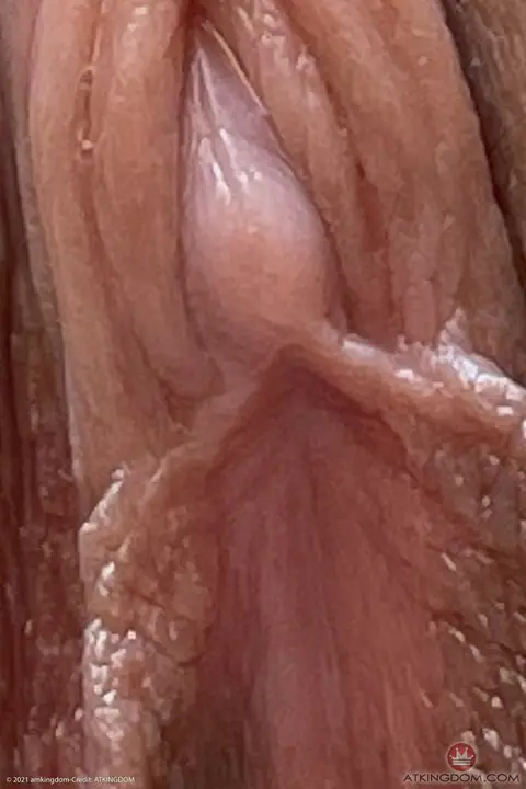 Lily Adams: Brunette Spreads Her Shaved Labia in Close-Up – photo 16 of 20