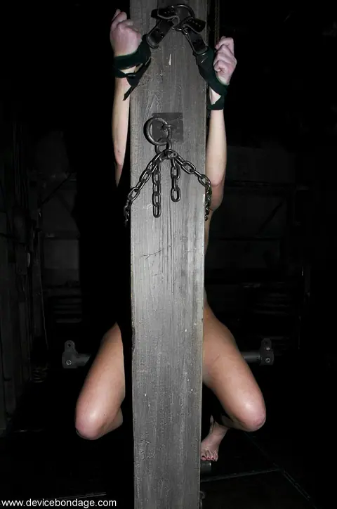 Ariel X: Brunette PAWG in Bondage Plays with a Dildo – photo 5 of 20