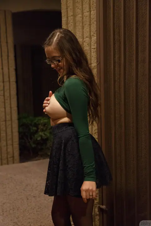 Rochelle Safford: Busty Brunette in Stockings and Heels Shows Off Her Big Ass – photo 11 of 11